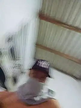 novinho br29 online show from 02.17.26