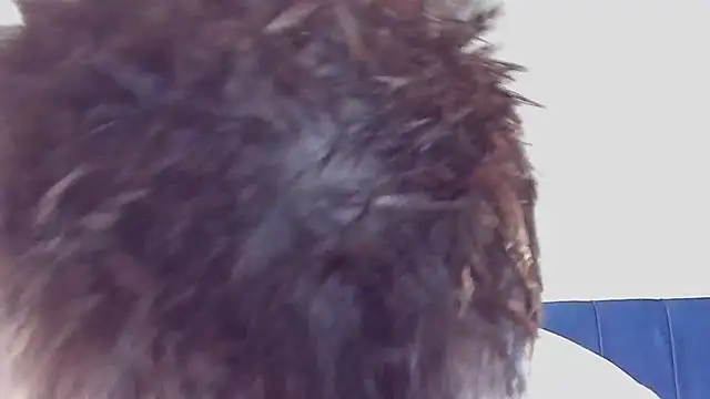 DrakeCarter online show from 02.26.26