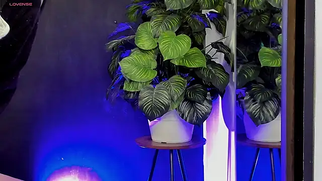 Noaah25  online show from 03.22.26