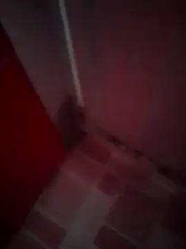 Cz Drax online show from 02.11.26