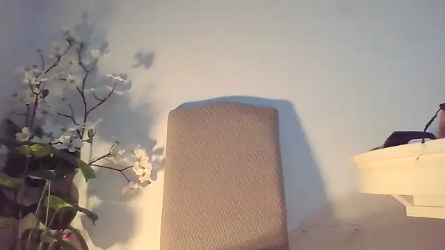 Snapshot of Dolcezzastella chatting on 03.01.26 Dolcezzastella online show from 03.01.26