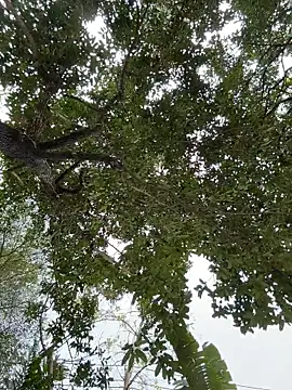 Snapshot of IceMur chatting on 02.23.26 IceMur online show from 02.23.26