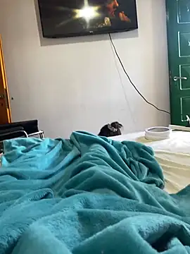 Cofla21cmm online show from 01.17.26