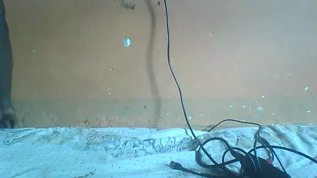 Sexyass100 online show from 04.20.26