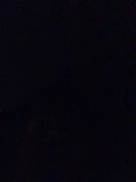 InstantPigweed online show from 04.09.26