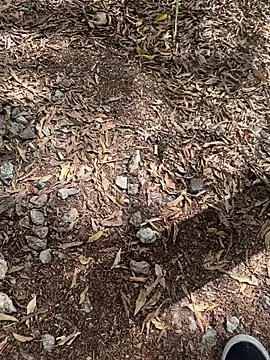 Snapshot of tyd247 chatting on 02.22.26 tyd247 online show from 02.22.26