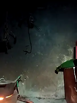 Snapshot of Hoa-tuylip chatting on 03.04.26 Hoa-tuylip online show from 03.04.26