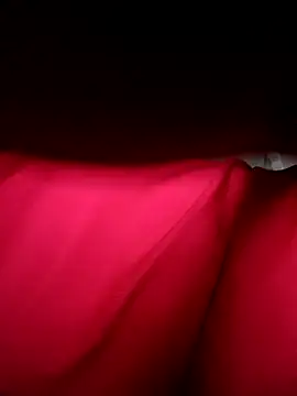 Snapshot of Hoa-tuylip chatting on 04.11.26 Hoa-tuylip online show from 04.11.26