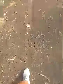 jhenyseducao online show from 03.18.26