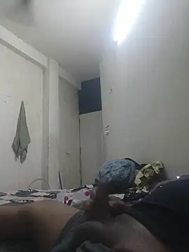 GTX-8194 online show from 03.02.26