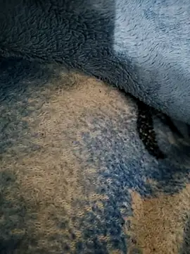 dollpum online show from 03.04.26