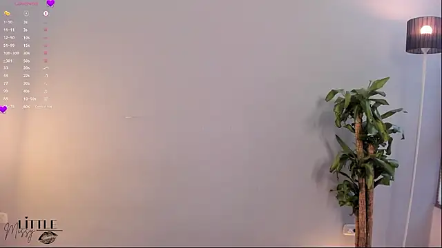 Snapshot of ALittleMissy chatting on 02.09.26 ALittleMissy online show from 02.09.26