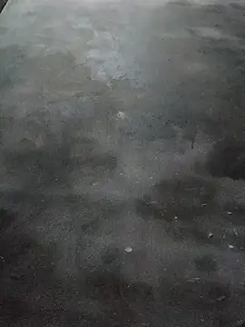 Sgs594802799 online show from 03.23.26