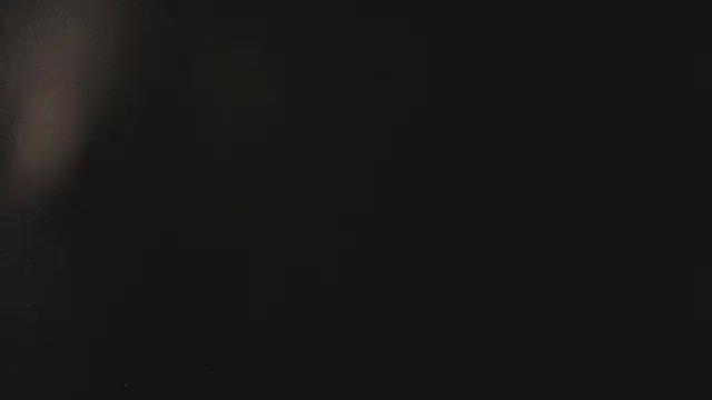 Fancy Vixen online show from 02.27.26