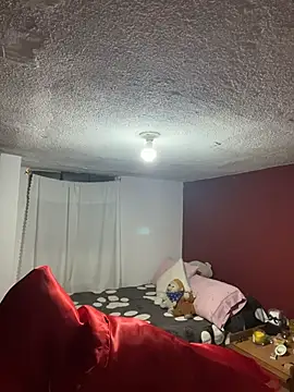 Bamby08 online show from 03.12.26