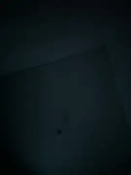 Snapshot of dominick_fran chatting on 02.11.26 dominick fran online show from 02.11.26