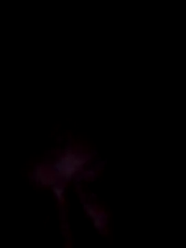 UnshodSixties online show from 06.07.26