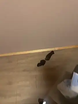 kin-y7 online show from 02.07.26