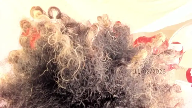 Snapshot of Brit_weston chatting on 02.11.26 Brit weston online show from 02.11.26