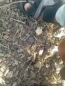 Cute Boy 4 online show from 02.12.26