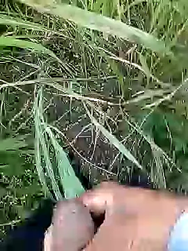 Cute Boy 4 online show from 04.11.26