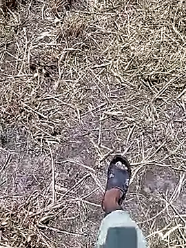 Cute Boy 4 online show from 04.18.26