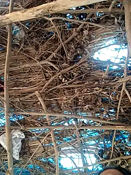 Rajni248096 online show from 03.12.26