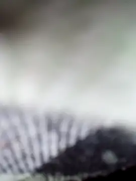 Snapshot of Sexy-Sony770 chatting on 02.07.26 Sexy-Sony770 online show from 02.07.26