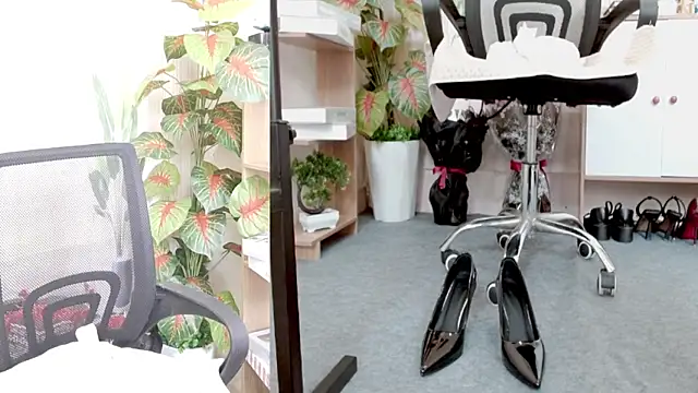 Zinna999 online show from 03.07.26