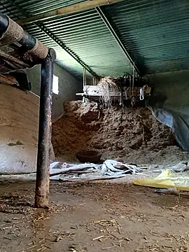 Sharmasamba online show from 03.27.26