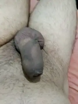 putopau15 online show from 04.02.26