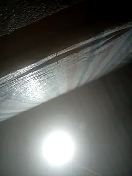 Snapshot of Momo-biki chatting on 02.22.26 Momo-biki online show from 02.22.26