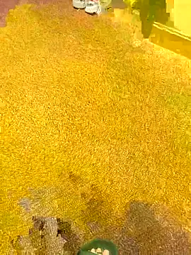 michaarMichaels online show from 04.05.26