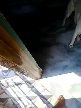 rubitrides11 online show from 02.18.26