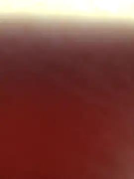 Snapshot of alex_callmemaybe69 chatting on 02.16.26 alex callmemaybe69 online show from 02.16.26