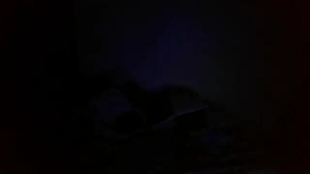 Snapshot of bialoba7 chatting on 10.01.25 bialoba7 online show from 10.01.25