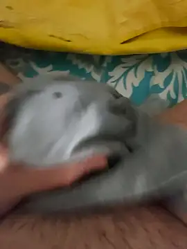 birzevkmeselesi online show from 02.10.26