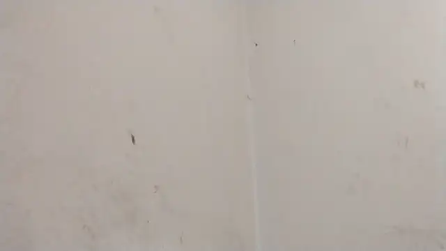 MisterSnowww online show from 03.06.26