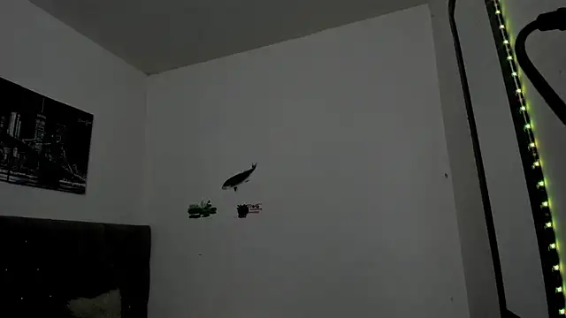  1DERECK online show from 04.15.26