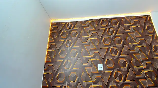 abbyyevanss online show from 02.19.26