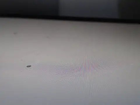 Snapshot of AlyssaBrown chatting on 02.21.26 AlyssaBrown online show from 02.21.26