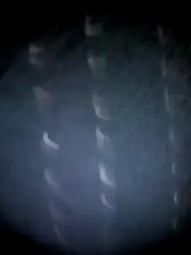 Snapshot of BIG_QWEEN_NO1 chatting on 03.12.26 BIG QWEEN NO1 online show from 03.12.26