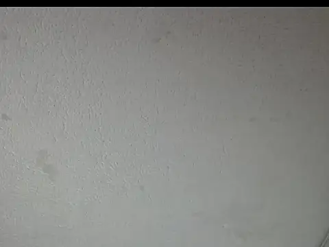 Snapshot of peytonbrunette chatting on 03.23.26 peytonbrunette online show from 03.23.26