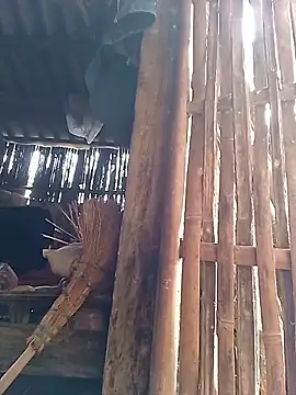 Nhoccon90 online show from 03.02.26