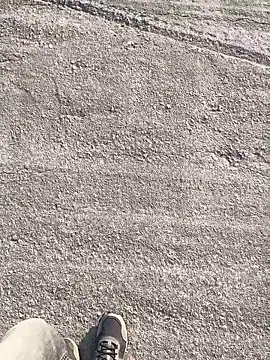 stallone italiano 62 online show from 03.23.26