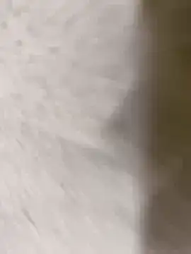 chennai sexyboy online show from 02.08.26