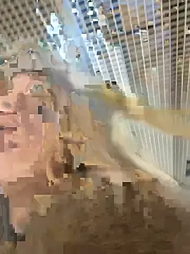 Snapshot of -OliviaSoft chatting on 03.01.26 -OliviaSoft online show from 03.01.26