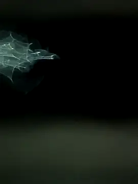 maharashtra boy mh19 online show from 03.18.26