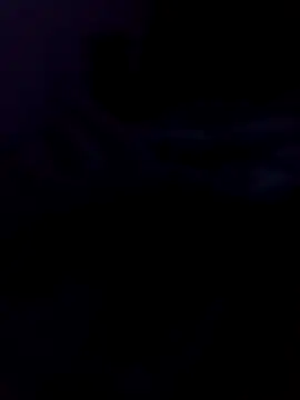 saraborges online show from 08.02.26