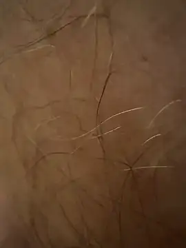 benoitxxx online show from 03.12.26